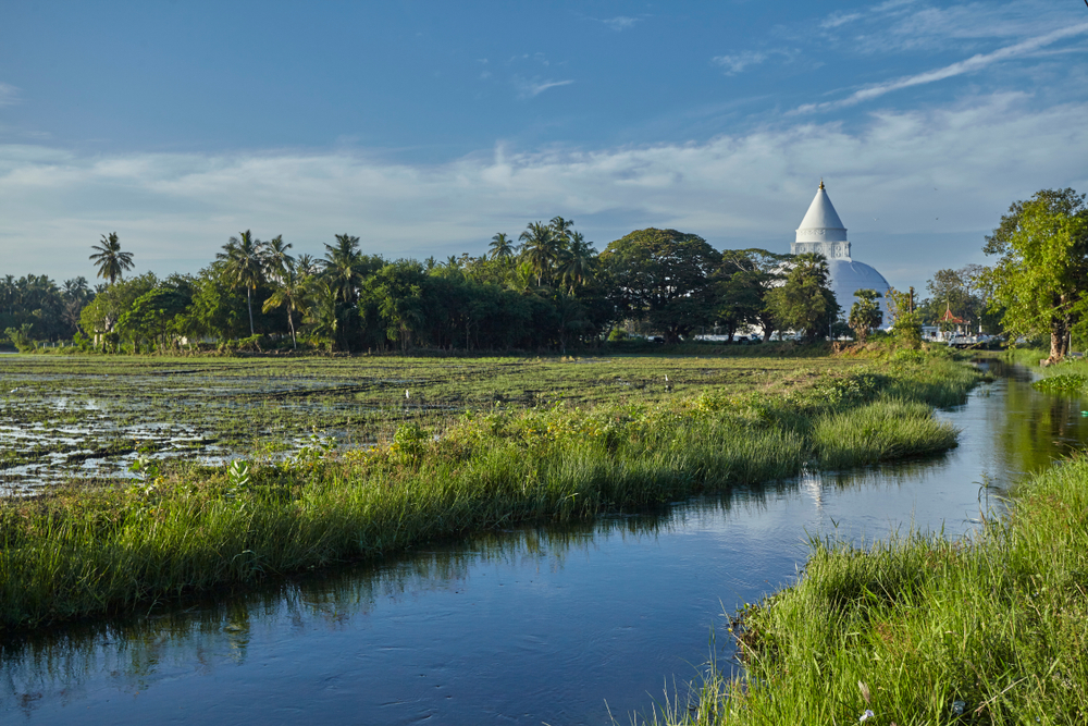 Tissamaharama
Devaka Seneviratne - Shutterstock_1552433069